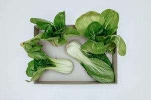 Picture showing symptom of magnesium deficiency