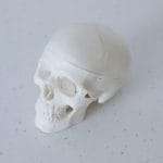 Image of blog for cognitive functions