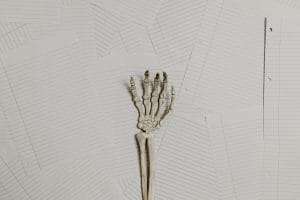 images for blog of bone health