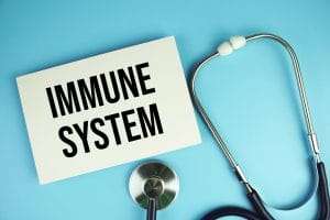 Boost Your Immune System: Nutrient-Rich Foods for Immune Function Support