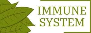 Boost Your Immune System: Essential Nutrients for Immune Support