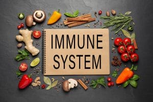 Boost Your Immune System: Nutrient-Rich Foods for Immune Function Support