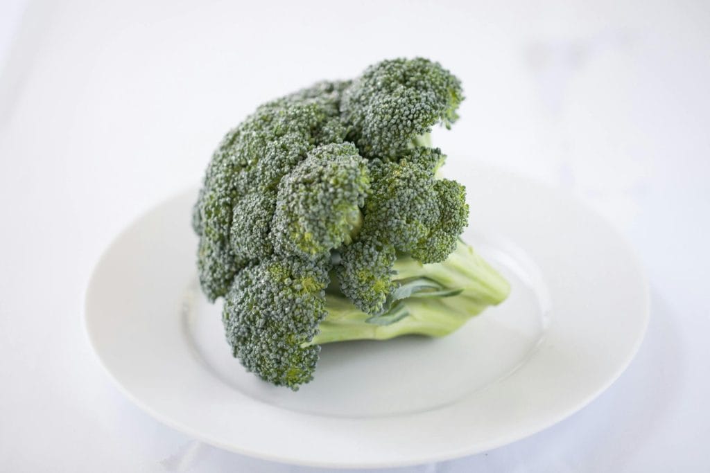 Close-up of a fresh broccoli floret on a white plate, showcasing its vibrant color.