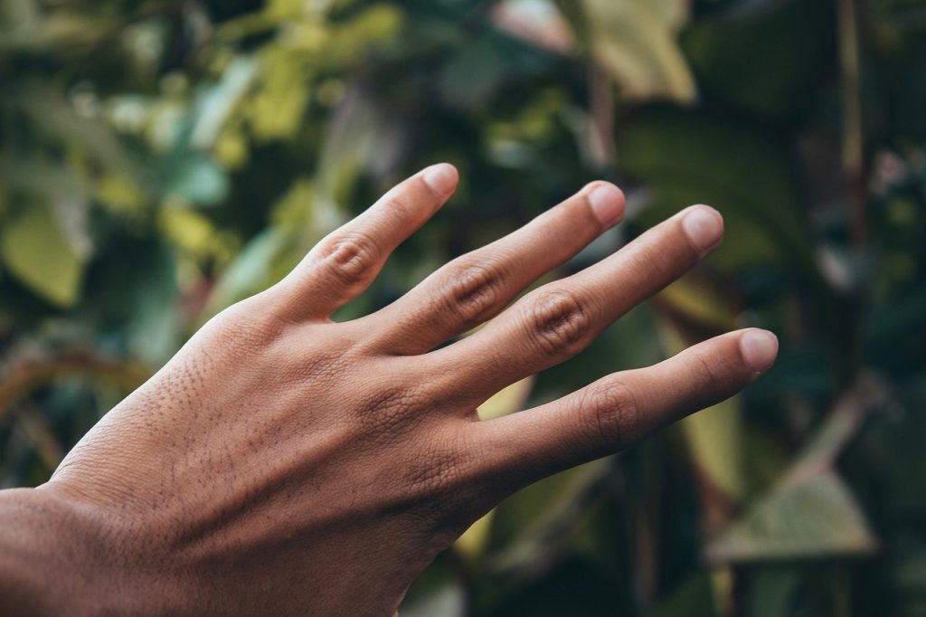 hand, fingers, brown skin, nature, asian, leaves, asian hand, human, man, person, nails